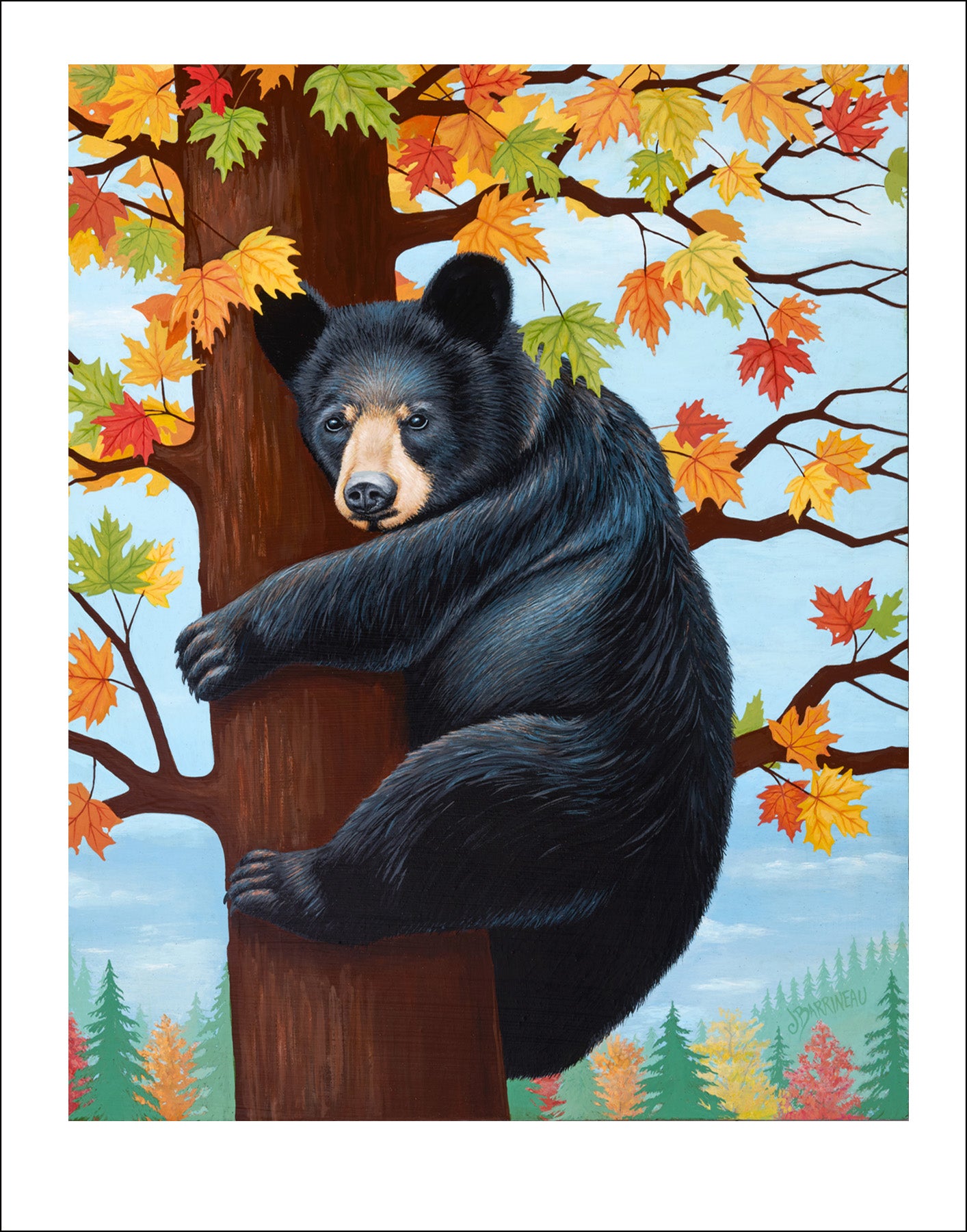 Autumn Days | Print on Paper | 11 x 14 | Black Bear hugging fall tree colors