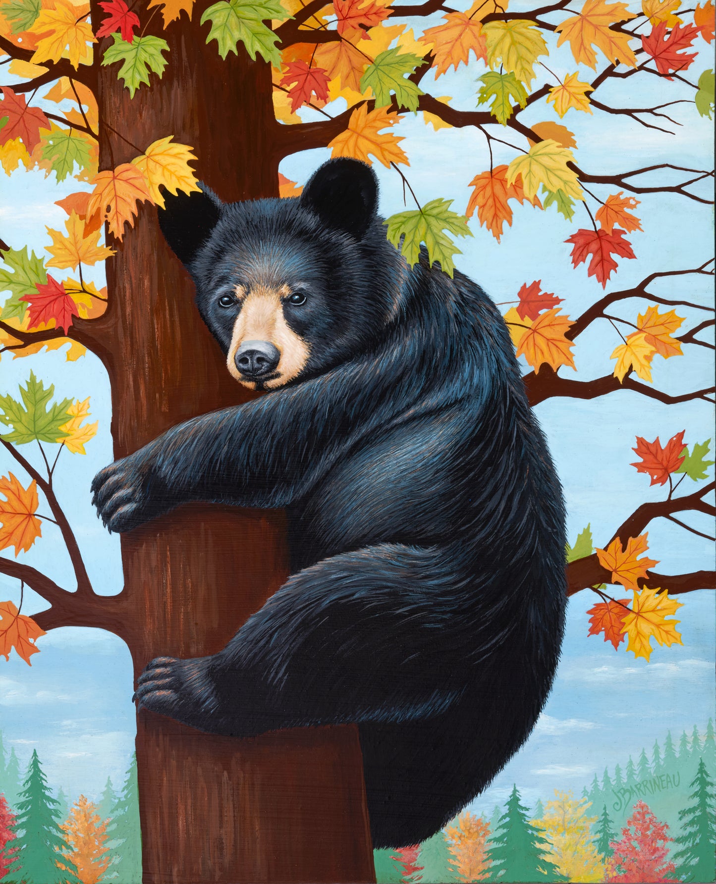 Autumn Days | Print on Paper | 11 x 14 | Black Bear hugging fall tree colors