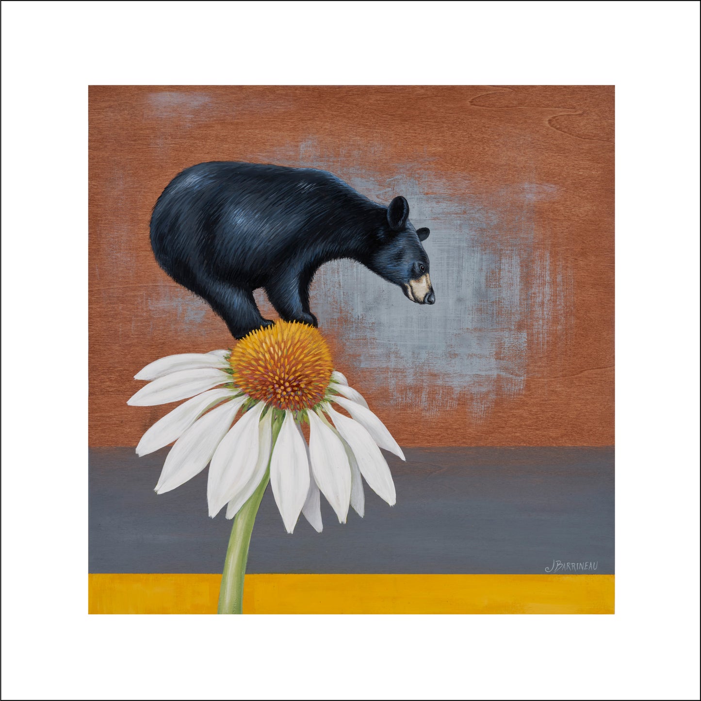 Bear Balance | Print on Paper | 12 x12 | black bear on white flower