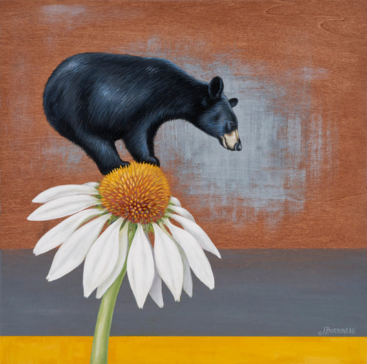 Bear Balance Metal Print 8x8 black bear on flower art